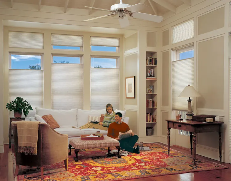 Cellular shades in a living room