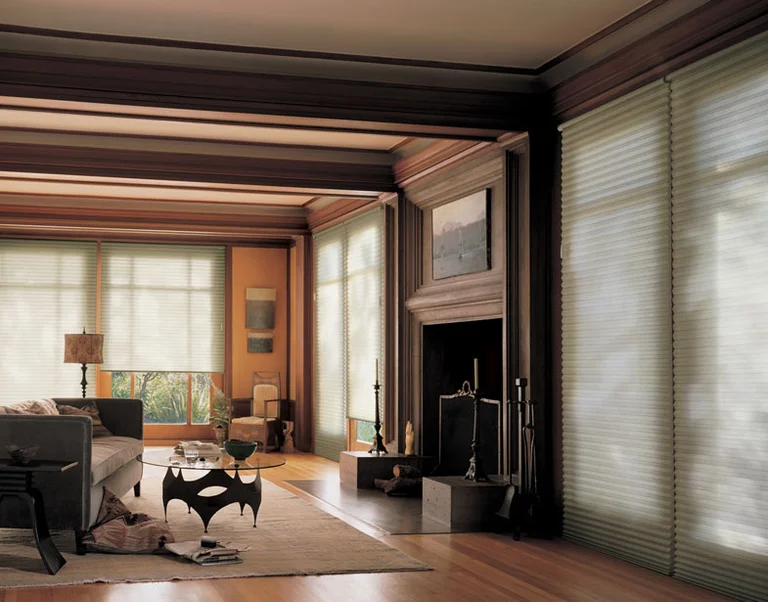 Cellular honeycomb shades in a living room