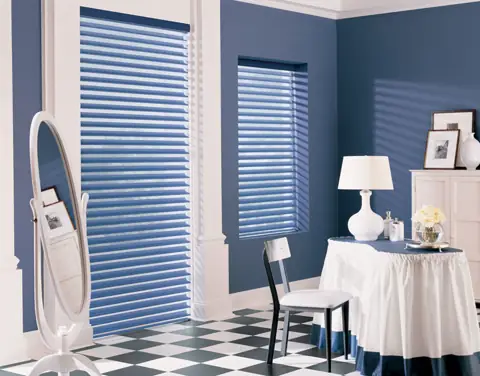 Window Shadings photo 1 of 34